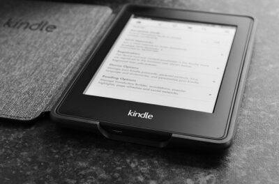 An Amazon Kindle. These are great devices for keeping your family entertained, partly because they're so cheap.